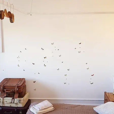 O Bigode Do Rato Lissabon