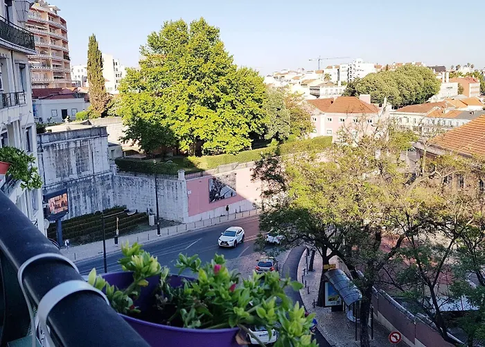 O Bigode Do Rato Pensionat