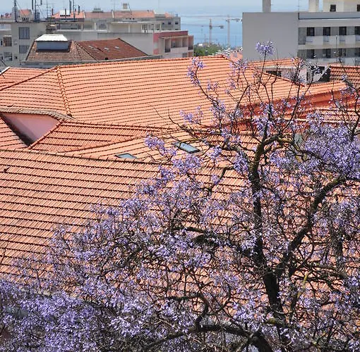 Guest house O Bigode Do Rato Lisbon
