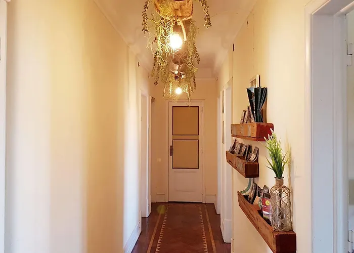 Guest house O Bigode Do Rato 2*