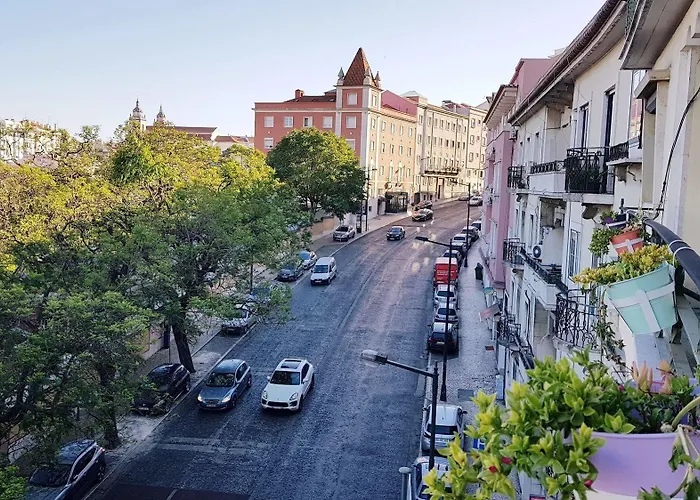 O Bigode Do Rato Guest house